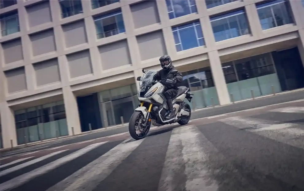 X-ADV — detalhe