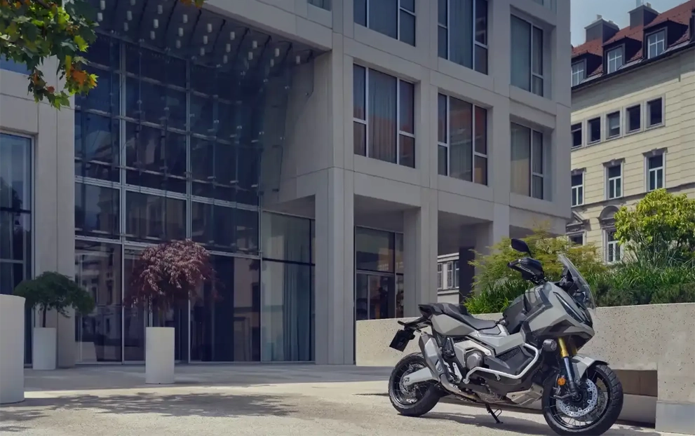 X-ADV — detalhe