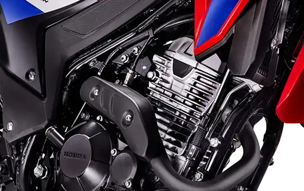 XR 300L Tornado Special Edition — detalhe