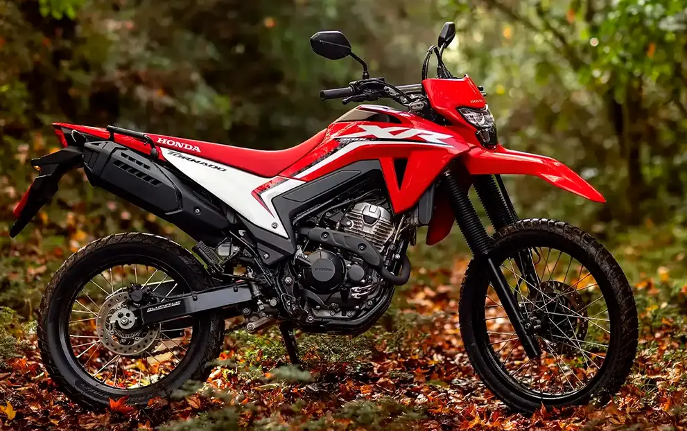 XR 300L Tornado — detalhe