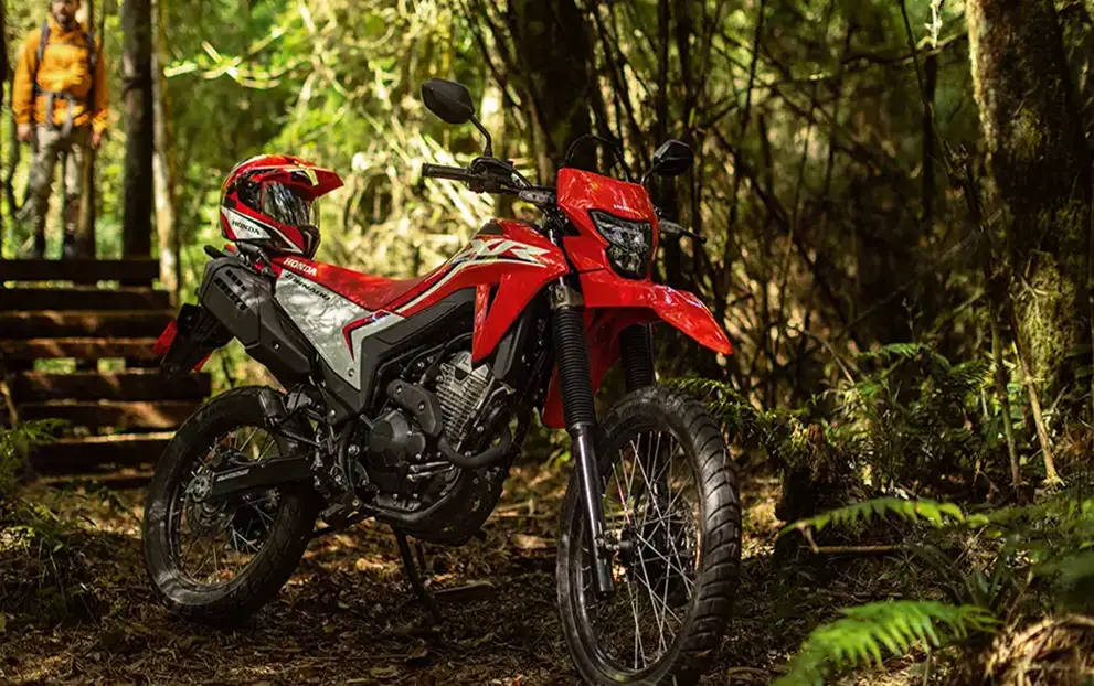 XR 300L Tornado — detalhe